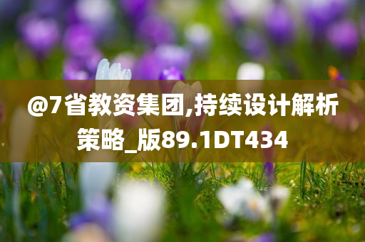 @7省教资集团,持续设计解析策略_版89.1DT434