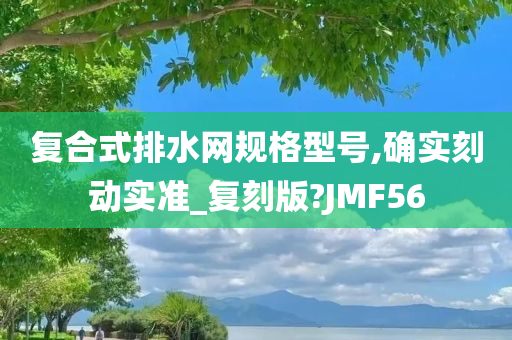 复合式排水网规格型号,确实刻动实准_复刻版?JMF56