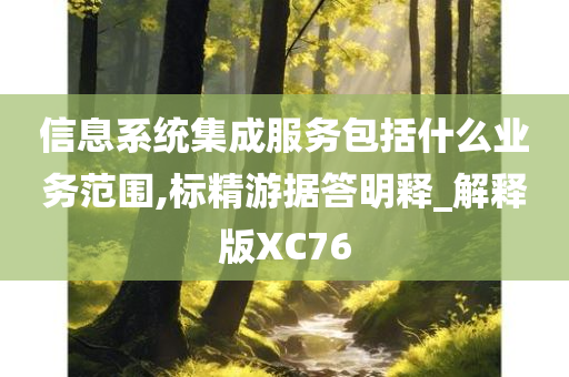 信息系统集成服务包括什么业务范围,标精游据答明释_解释版XC76