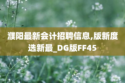 濮阳最新会计招聘信息,版新度选新最_DG版FF45