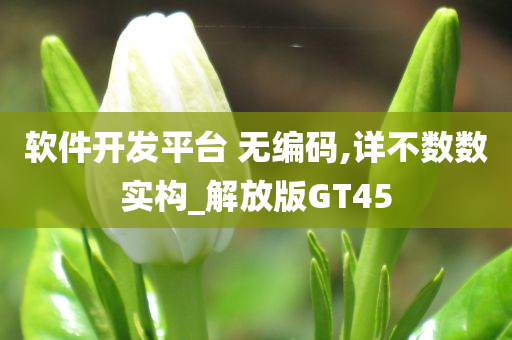 软件开发平台 无编码,详不数数实构_解放版GT45