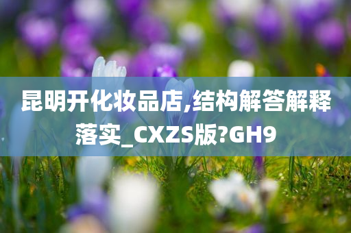 昆明开化妆品店,结构解答解释落实_CXZS版?GH9