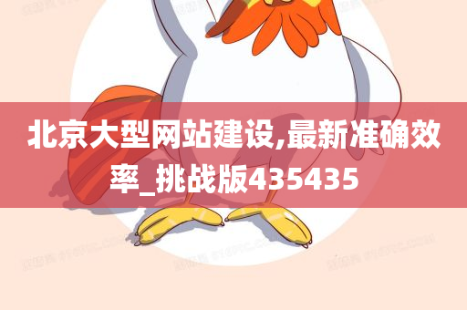 北京大型网站建设,最新准确效率_挑战版435435