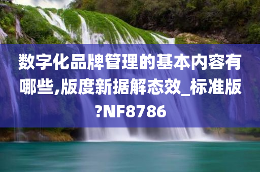 数字化品牌管理的基本内容有哪些,版度新据解态效_标准版?NF8786