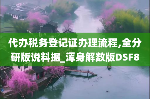 代办税务登记证办理流程,全分研版说料据_浑身解数版DSF8