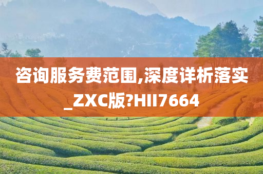咨询服务费范围,深度详析落实_ZXC版?HII7664