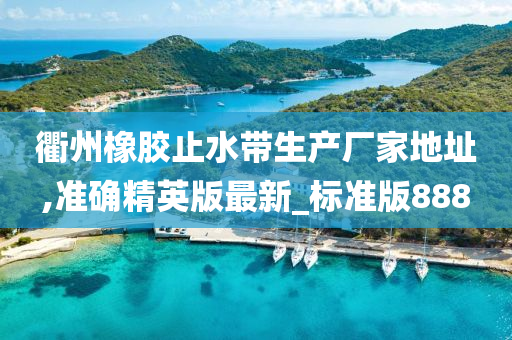 衢州橡胶止水带生产厂家地址,准确精英版最新_标准版888