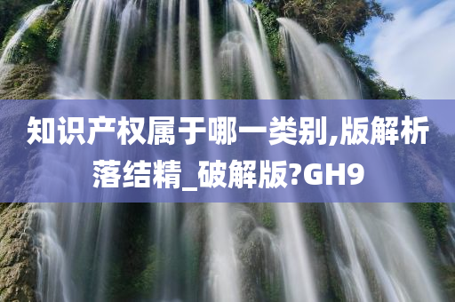 知识产权属于哪一类别,版解析落结精_破解版?GH9