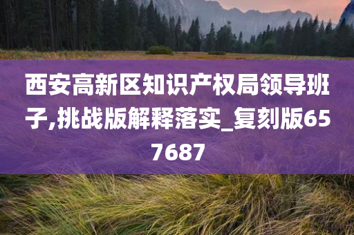 西安高新区知识产权局领导班子,挑战版解释落实_复刻版657687