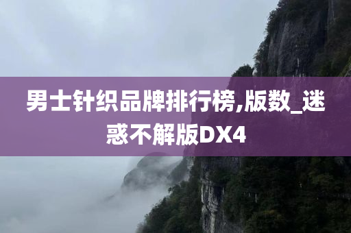 男士针织品牌排行榜,版数_迷惑不解版DX4