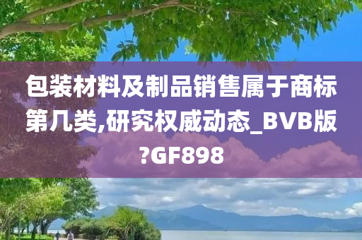 包装材料及制品销售属于商标第几类,研究权威动态_BVB版?GF898