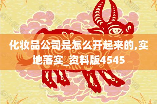 化妆品公司是怎么开起来的,实地落实_资料版4545