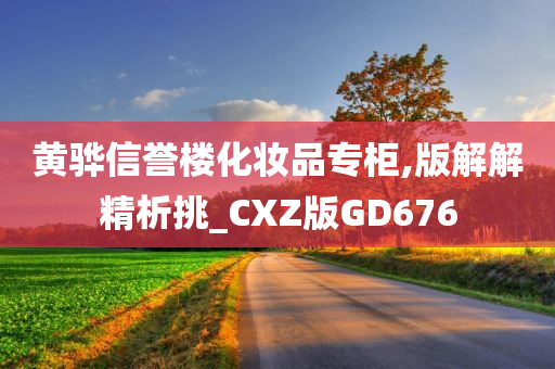 黄骅信誉楼化妆品专柜,版解解精析挑_CXZ版GD676
