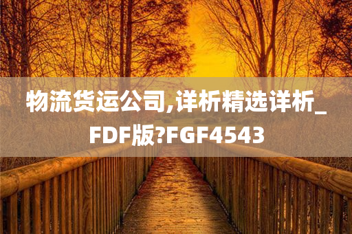 物流货运公司,详析精选详析_FDF版?FGF4543