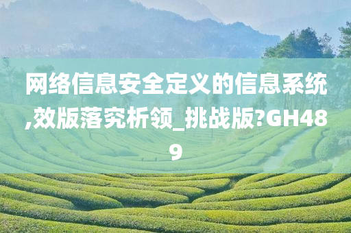 网络信息安全定义的信息系统,效版落究析领_挑战版?GH489