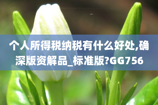 个人所得税纳税有什么好处,确深版资解品_标准版?GG756