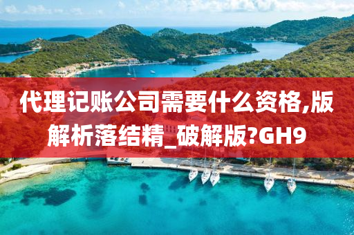 代理记账公司需要什么资格,版解析落结精_破解版?GH9