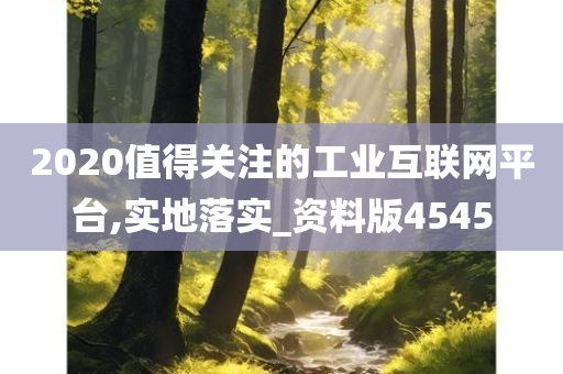 2020值得关注的工业互联网平台,实地落实_资料版4545