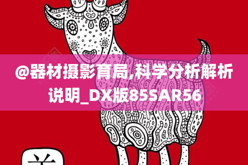 @器材摄影育局,科学分析解析说明_DX版85SAR56