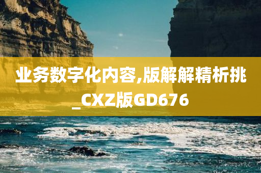 业务数字化内容,版解解精析挑_CXZ版GD676
