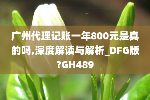 广州代理记账一年800元是真的吗,深度解读与解析_DFG版?GH489