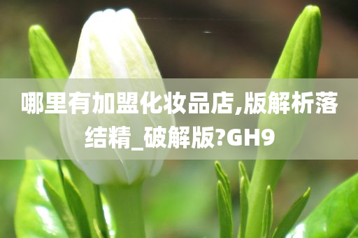哪里有加盟化妆品店,版解析落结精_破解版?GH9