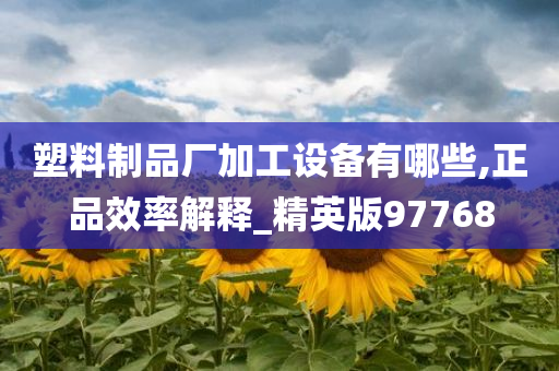 塑料制品厂加工设备有哪些,正品效率解释_精英版97768