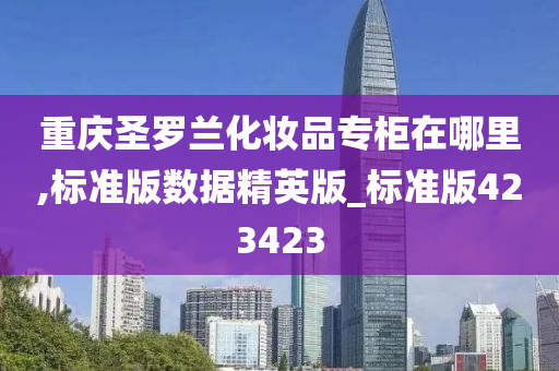重庆圣罗兰化妆品专柜在哪里,标准版数据精英版_标准版423423