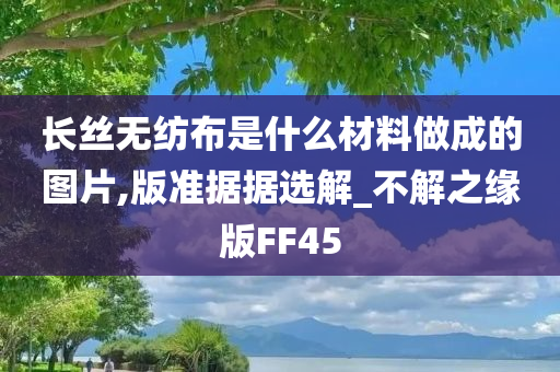 长丝无纺布是什么材料做成的图片,版准据据选解_不解之缘版FF45