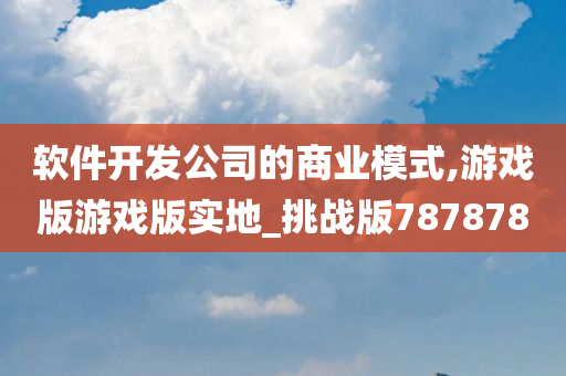 软件开发公司的商业模式,游戏版游戏版实地_挑战版787878
