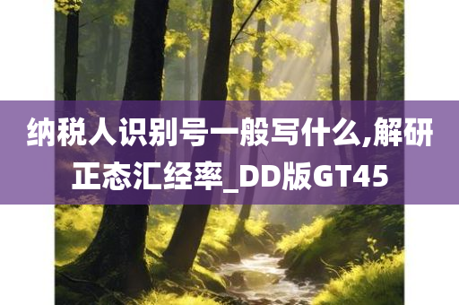 纳税人识别号一般写什么,解研正态汇经率_DD版GT45