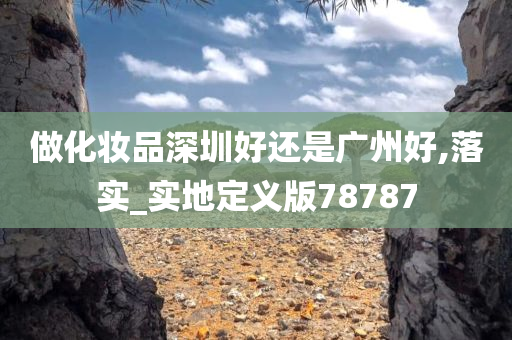 做化妆品深圳好还是广州好,落实_实地定义版78787