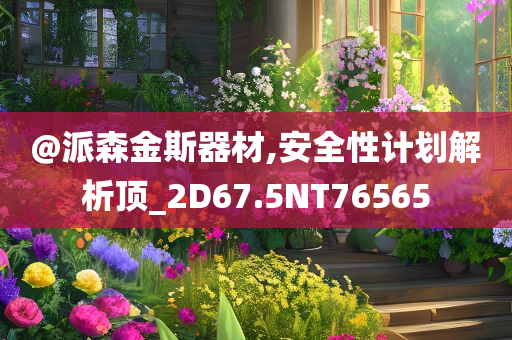 @派森金斯器材,安全性计划解析顶_2D67.5NT76565