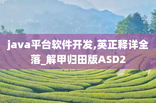 java平台软件开发,英正释详全落_解甲归田版ASD2今晚必出三肖2025_2025新澳门精准免费提供·精确判断