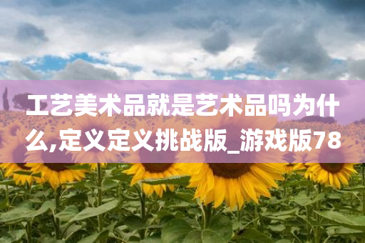 工艺美术品就是艺术品吗为什么,定义定义挑战版_游戏版78