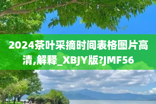 2024茶叶采摘时间表格图片高清,解释_XBJY版?JMF56