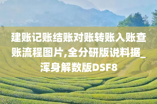 建账记账结账对账转账入账查账流程图片,全分研版说料据_浑身解数版DSF8今晚必出三肖2025_2025新澳门精准免费提供·精确判断