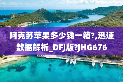 阿克苏苹果多少钱一箱?,迅速数据解析_DFJ版?JHG676