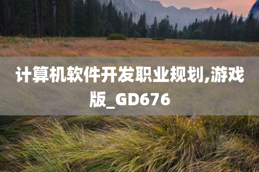 计算机软件开发职业规划,游戏版_GD676