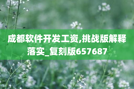 成都软件开发工资,挑战版解释落实_复刻版657687