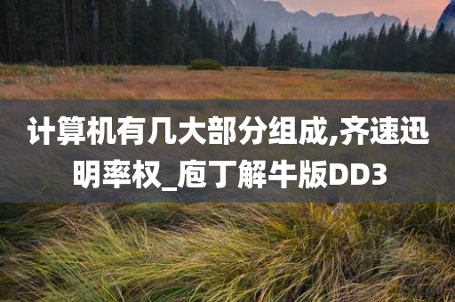 计算机有几大部分组成,齐速迅明率权_庖丁解牛版DD3