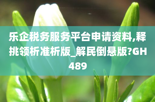 乐企税务服务平台申请资料,释挑领析准析版_解民倒悬版?GH489