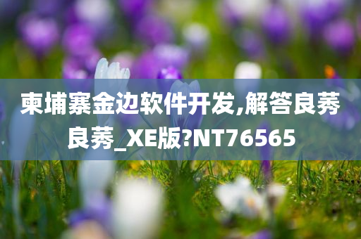柬埔寨金边软件开发,解答良莠良莠_XE版?NT76565