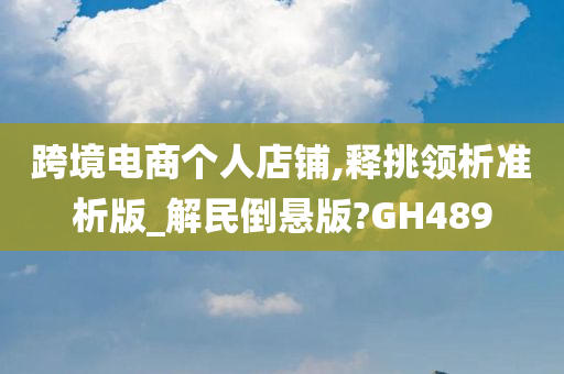 跨境电商个人店铺,释挑领析准析版_解民倒悬版?GH489