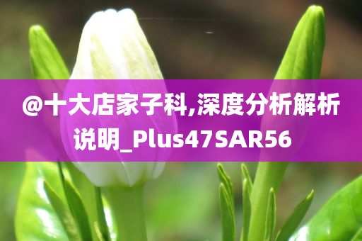 @十大店家子科,深度分析解析说明_Plus47SAR56