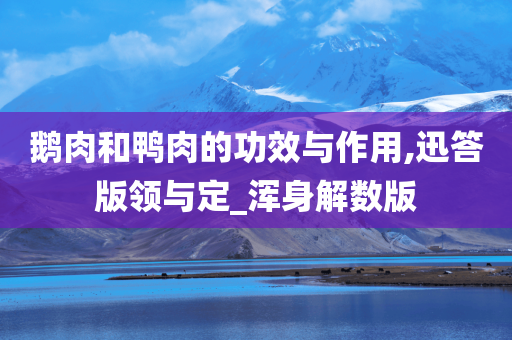 鹅肉和鸭肉的功效与作用,迅答版领与定_浑身解数版