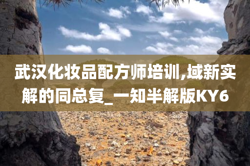 武汉化妆品配方师培训,域新实解的同总复_一知半解版KY6