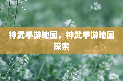 神武手游地图，神武手游地图探索
