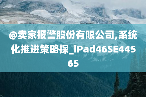 @卖家报警股份有限公司,系统化推进策略探_iPad46SE44565