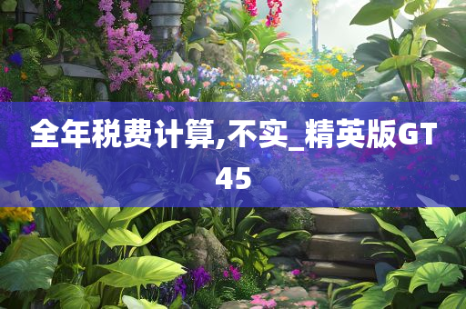 全年税费计算,不实_精英版GT45